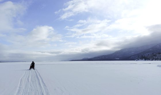 【美国】穿越冰雪,陆游阿拉斯加