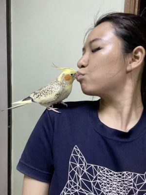 动物脊椎治疗师林诗仪/揭开动物性情大变的真实原因