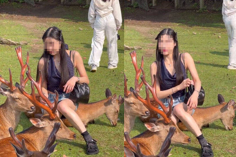 正妹硬坐奈良鹿拍美照?小鹿“眼神死”全网炸锅⋯⋯真相是