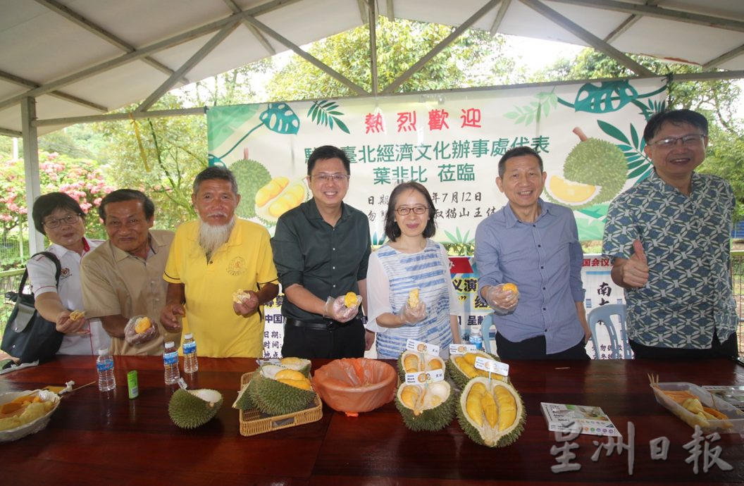 叶非比表示将协助启动台湾与大马的检疫措施,让大马榴梿以鲜果的方式出口台湾