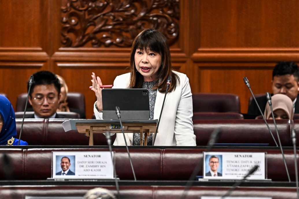 国会上议院/林慧英:2019至2023年共127万人向MySalam计划索赔9亿令吉
