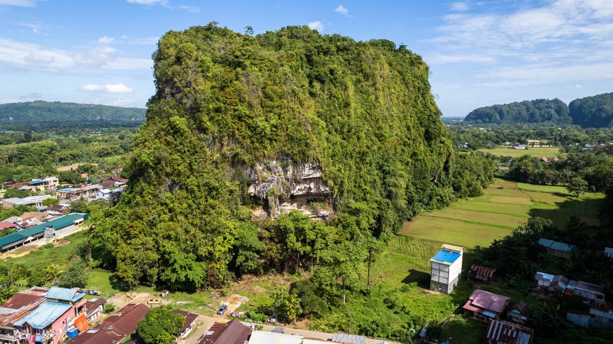 新技术测定有5万年历史 印尼洞穴壁画成迄今最古老艺术作品