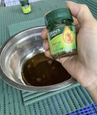 猫猫狗狗化身捐血小英雄,为爱献血拯救生命