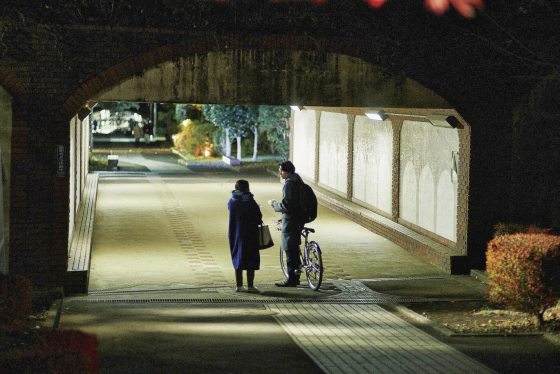 陈头头/《All the Long Nights》暗夜与晨光会平等出现在每一天