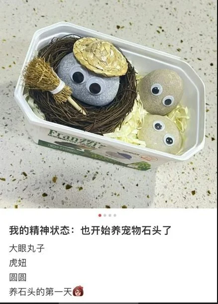 拚盘)中国掀起“石头宠物”潮 精神科医:反映年轻人情感现况
