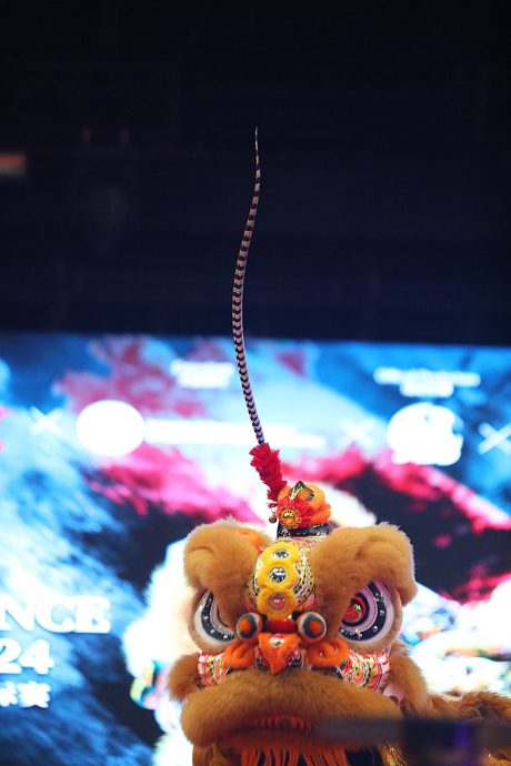 (多图)云顶狮王杯| 雪万挠玄龙体育会夺冠 中马区3队占前三