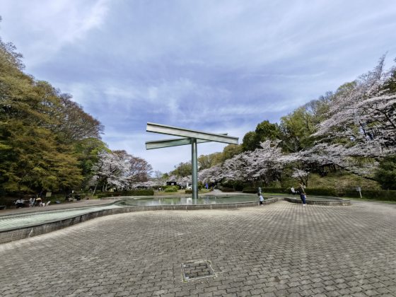 【日本】举头望樱花,低头寻井盖──东京都‧町田市
