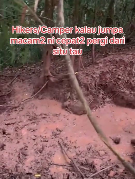 视频|丛林遇泥泞坑需尽速离开? 网民解释:怕有野猪出没!