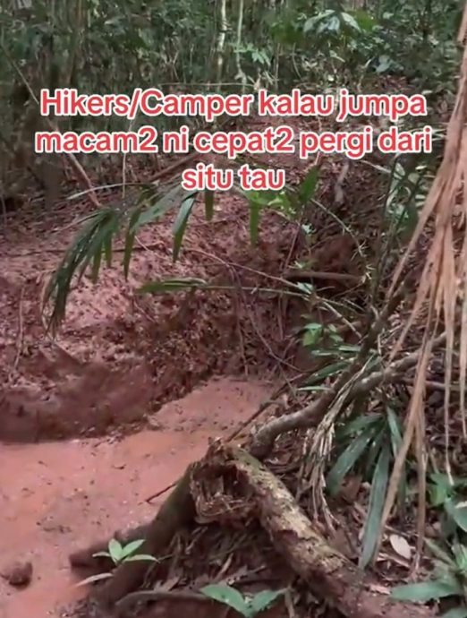 视频|丛林遇泥泞坑需尽速离开? 网民解释:怕有野猪出没!