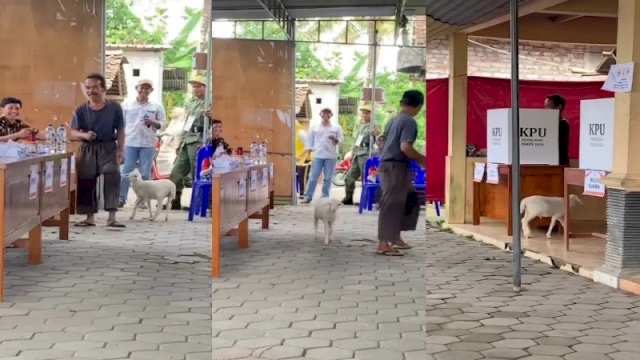 视频|带“私人保镖”投票 网:这男子不简单