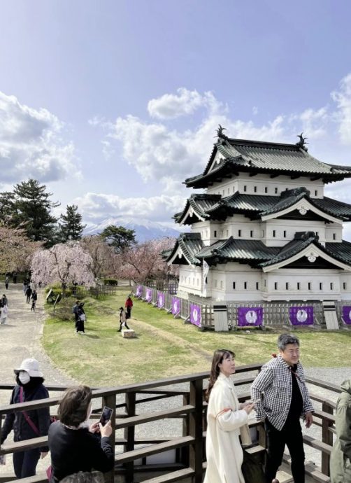 【日本】日本东北追樱之旅:带你走进奥入濑溪流中