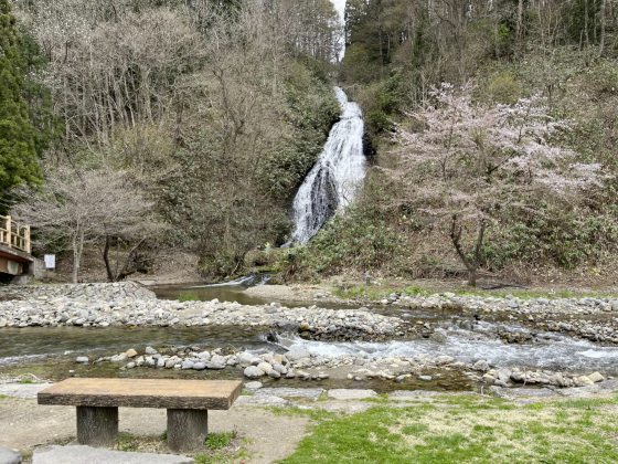 【日本】日本东北追樱之旅:带你走进奥入濑溪流中