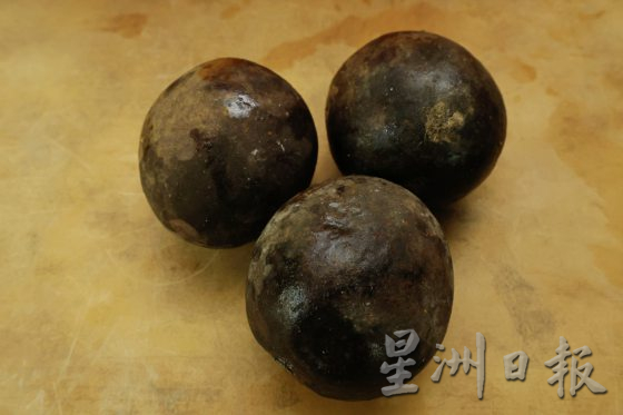 【种子自主权/02】迦南地梦想园,搜集稀有种子,耕耘食物森林