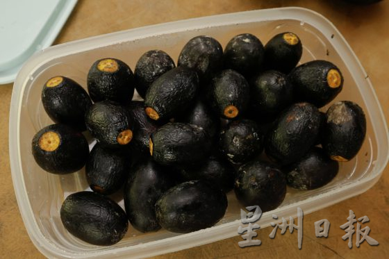 【种子自主权/02】迦南地梦想园,搜集稀有种子,耕耘食物森林