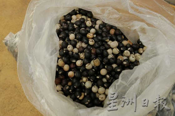 【种子自主权/02】迦南地梦想园,搜集稀有种子,耕耘食物森林