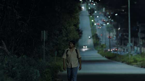 陈头头/《A Febre》无以名状的高热,货柜或丛林