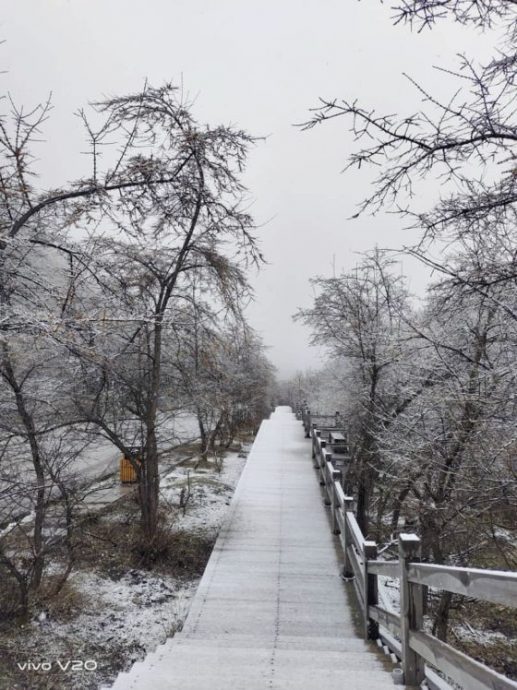 【中国】细雪纷飞游四川