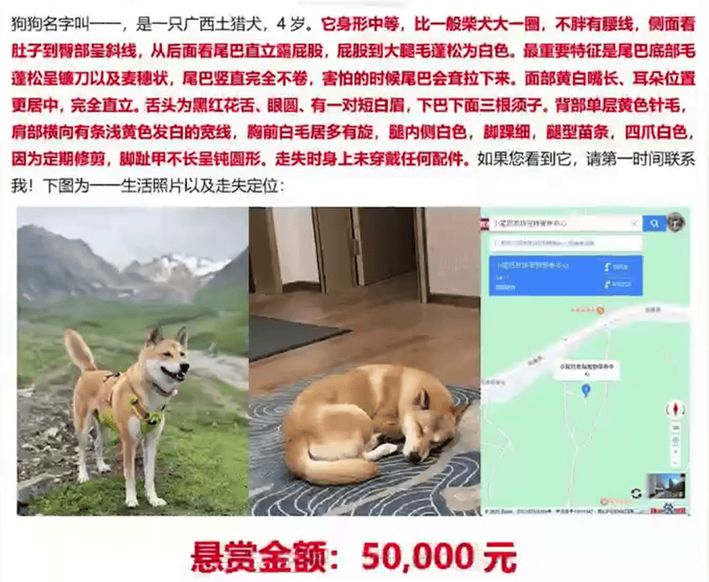 悬赏走失宠物狗遇车祸 竟被高速公路员工“执尸”煮食