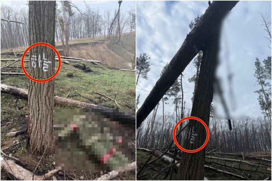 拒沦乌军俘虏!朝鲜士兵树上“写字”自我了断 前线画面流出