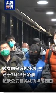 涉王星案的10名重要嫌犯已被押解回国