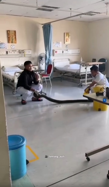 视频|医院员工赤手擒蟒获赞 网民认出他:是前消拯员!