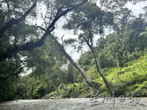 【雨林变色/03】推动生态旅游创造经济价值,保护雨林生命生生不息