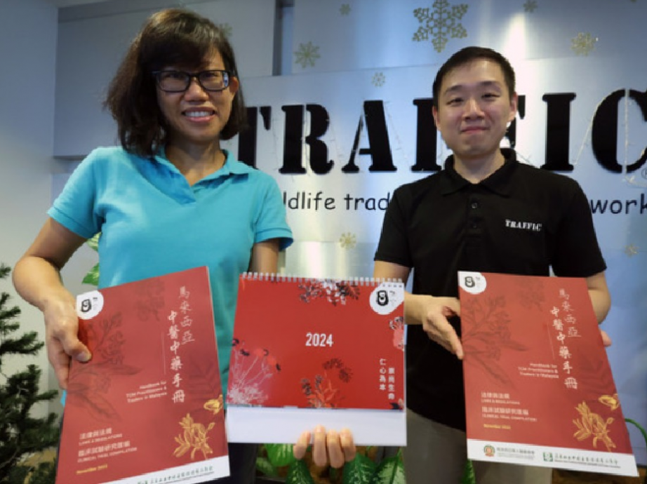 中医革新推崇草药永续替代品 · 专家:穿山甲鳞片交易仍猖獗