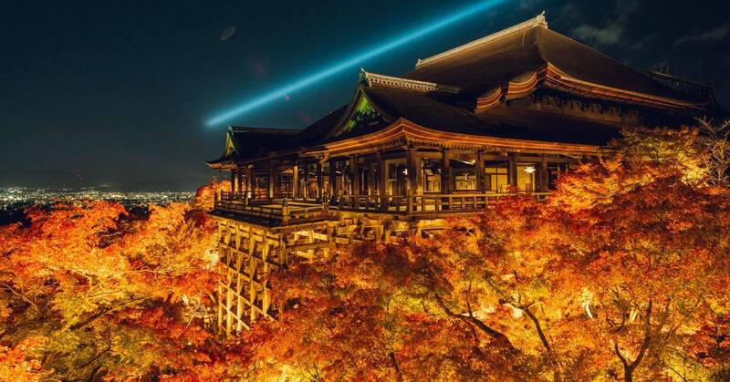 京都清水寺夜樱点灯!春季夜间特别参观即起开放