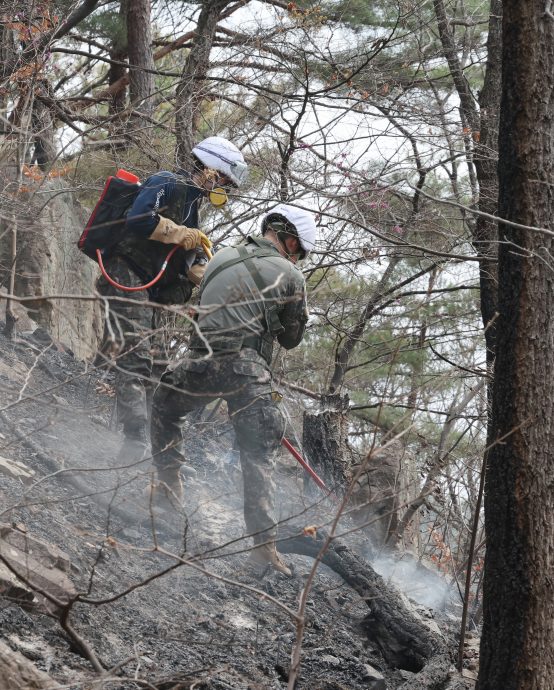 扫墓引发山林大火!凶手惊逃遭逮“发现打火机” 火势扩散焚毁古寺