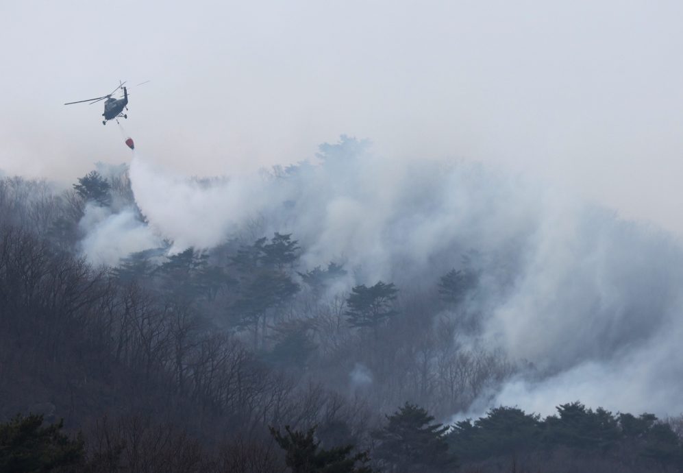 扫墓引发山林大火!凶手惊逃遭逮“发现打火机” 火势扩散焚毁古寺