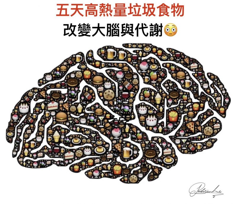 连5天暴饮暴食脑肝全受损 医警告恢复正常饮食也没用