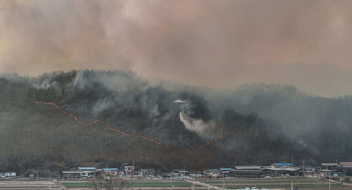 韩国东南部16处山林大火!两名消防队员不幸罹难 发布最高级警报