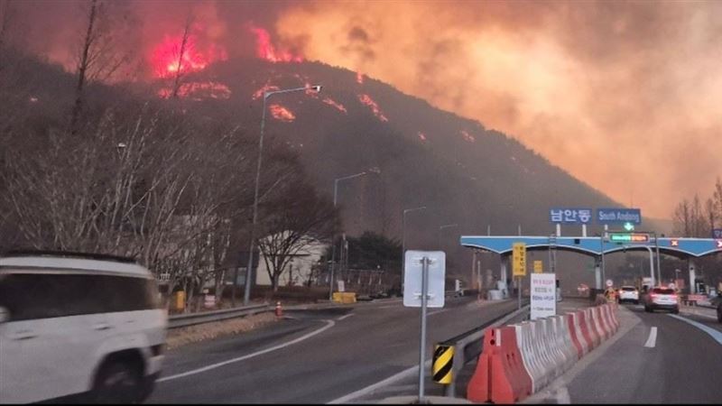韩娱爱心接力赈灾 IU为山火灾区捐60万