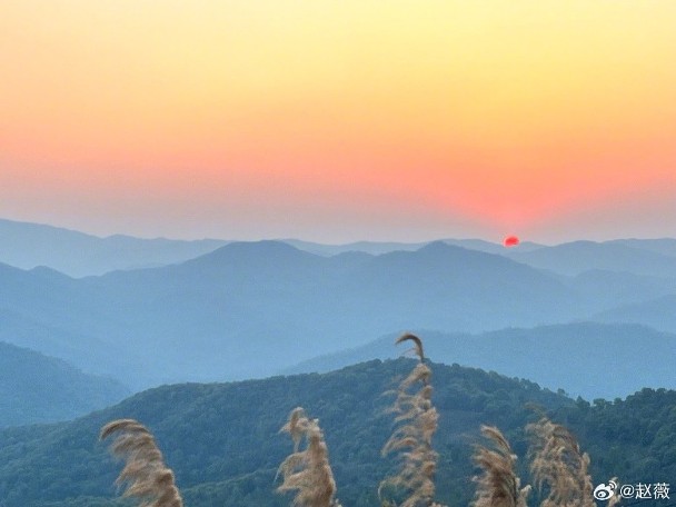 黄晓明赵薇夕阳传情 网催再续前缘在一起
