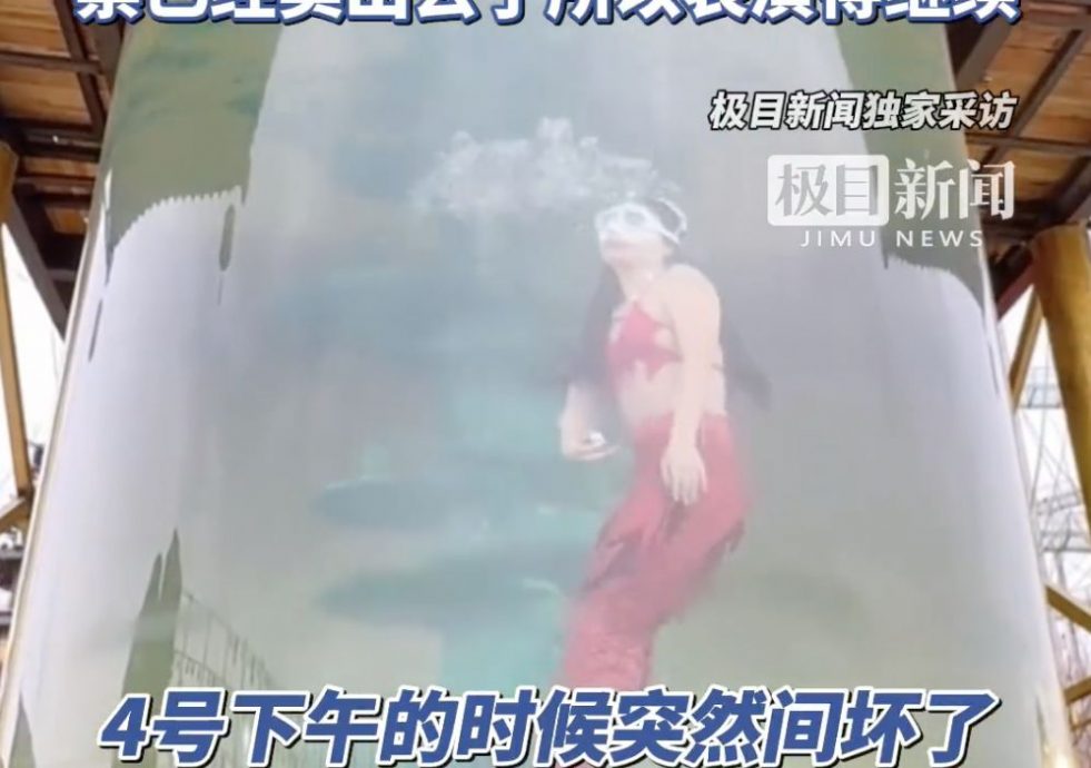 “美人鱼”在污水缸卖力演出 景区:过滤系统坏了票也卖了