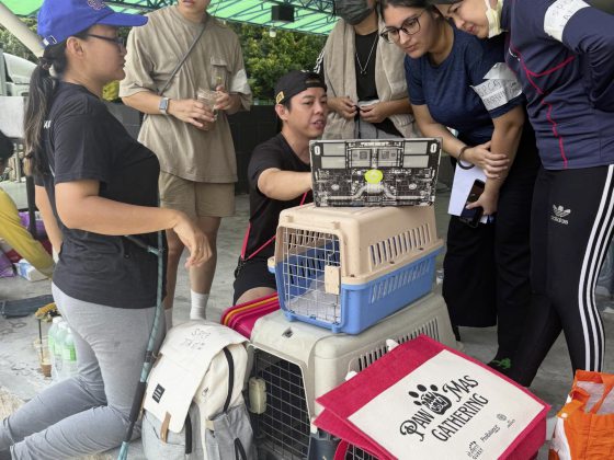 义工动员深入气爆灾区,救援受困受惊毛孩
