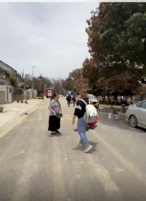 义工动员深入气爆灾区,救援受困受惊毛孩