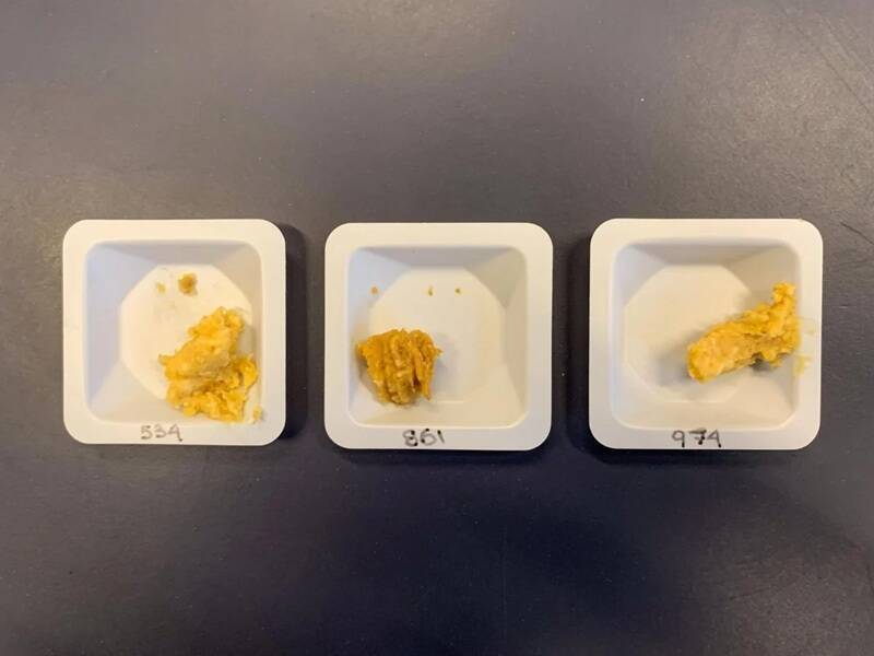 太空“酿”的味噌!风味略带坚果烘焙 口感独特