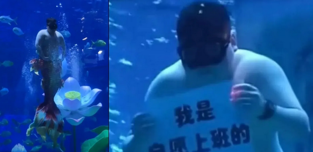 打破审美框架!115公斤“胖人鱼”水下热舞爆红 观众笑翻:终于分清美人鱼和儒艮
