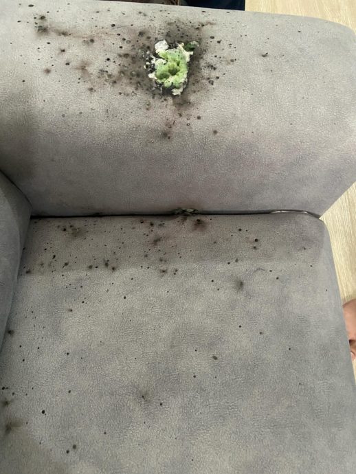 熊孩子玩烟花烧毁沙发 主人愤拒孩子进屋贺节