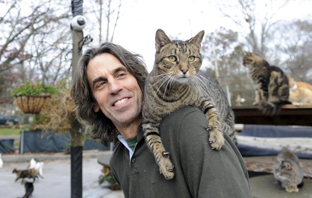 纽约浪浪之家恶火喵星人丧生 创办人救猫罹难