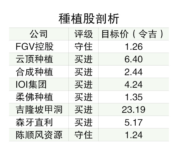 棕油价居高不下 种植公司首季财报料亮眼