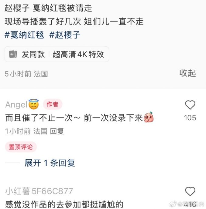 赵樱子传遭驱离康城影展 她反击:那手势是里面请