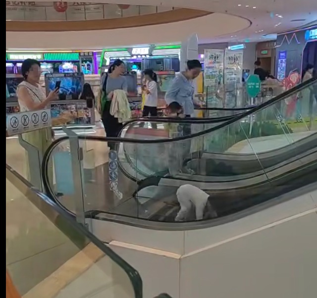 “这是拿命换流量吗?” 拍孩子玩手扶梯被骂翻