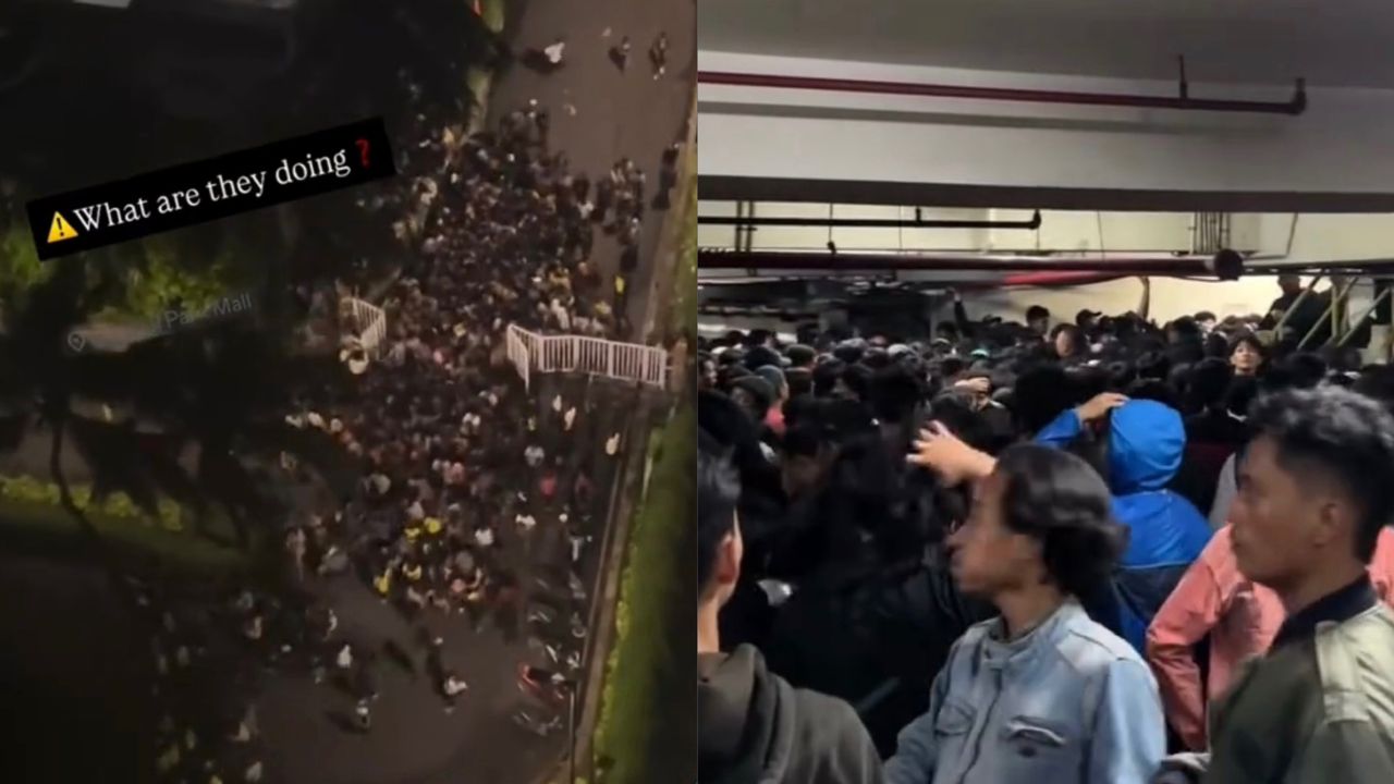 从商场内部排到外部 数百人清晨排队抢购玩偶
