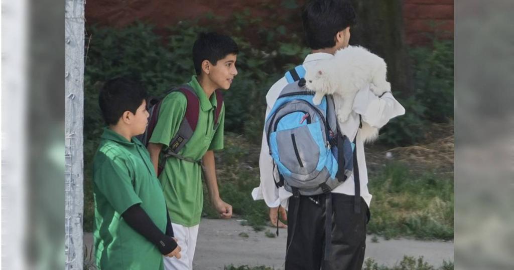 印度私校学费暴涨引抗议潮 学生因拒缴被赶出教室!