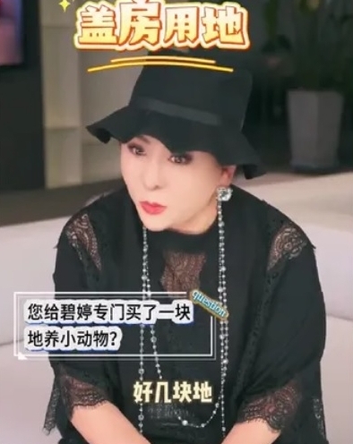 自曝在台北给郭碧婷买地 向太:希望天下家婆都爱媳妇