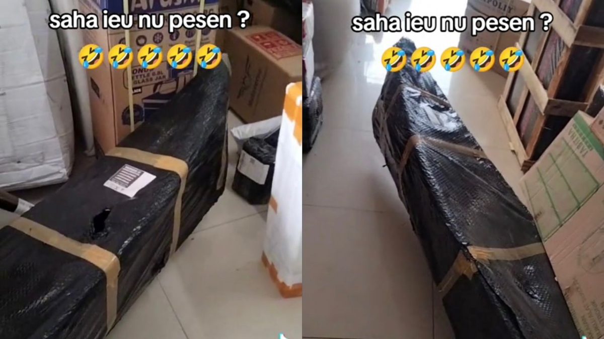 视频|快递员傻眼要送“长长的包裹” 网调侃:幸好不是飞机!