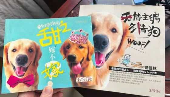让狗儿也善终──我家的老狗阿huat告别日记