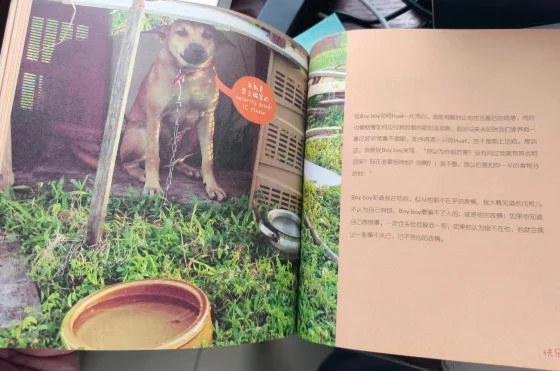 让狗儿也善终──我家的老狗阿huat告别日记